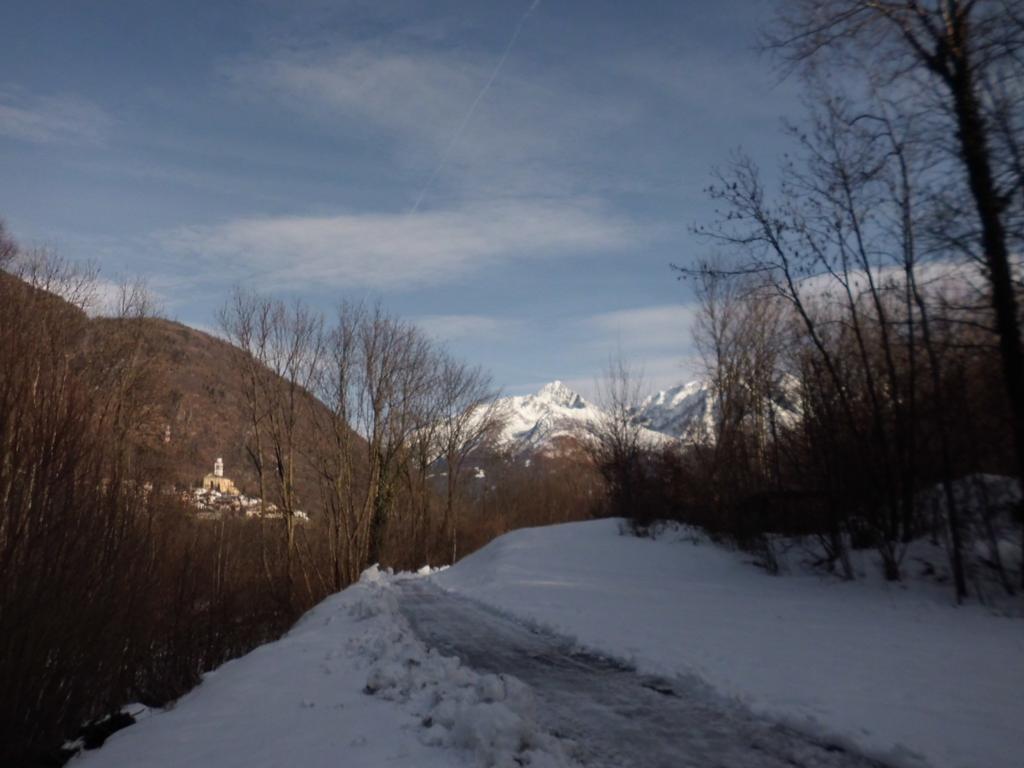 Casa Vacanza Dal Contadino Cir O17063